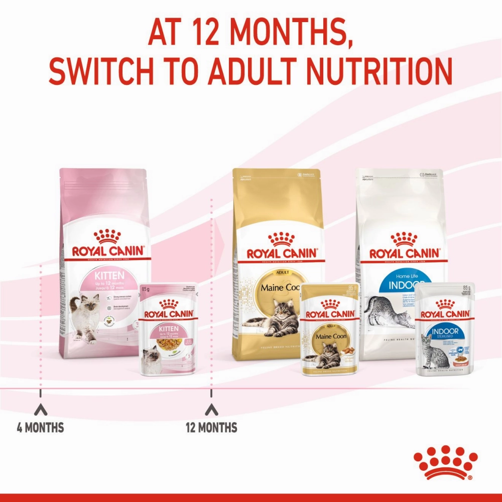 Royal Canin Kitten Jelly Cat Wet Food