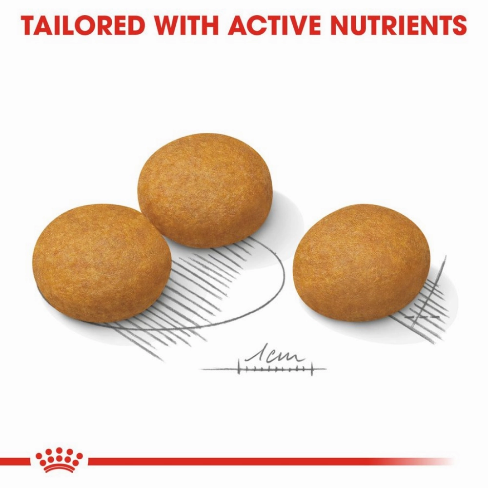 Royal Canin Maxi Dermacomfort Dog Dry Food