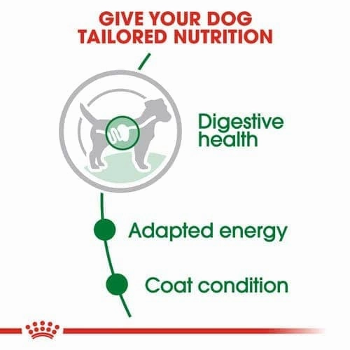 Royal Canin Mini Adult Dog Dry Food and Wet Food Combo