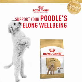 Royal Canin Poodle Adult Dog Dry Food
