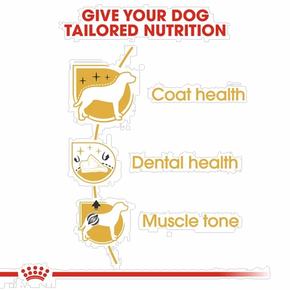 Royal Canin Poodle Adult Dog Dry Food