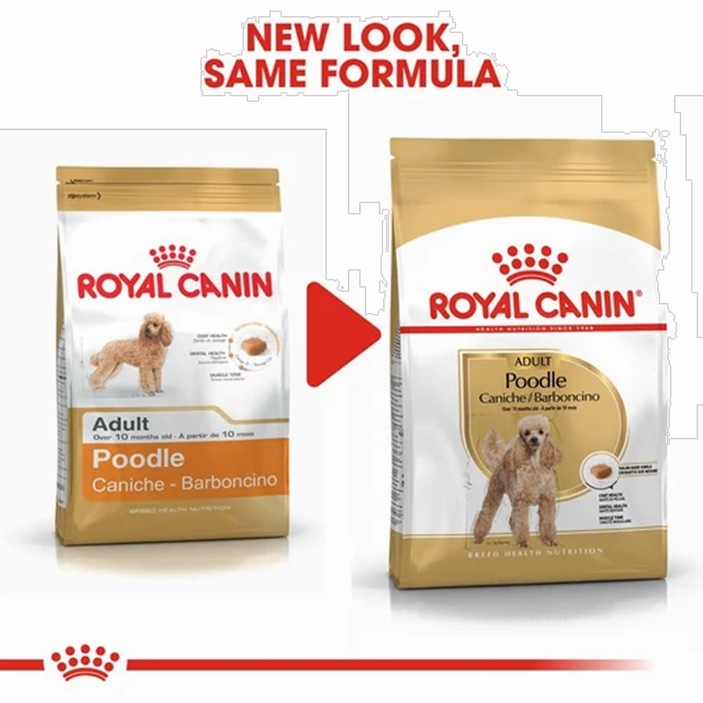 Royal Canin Poodle Adult Dog Dry Food
