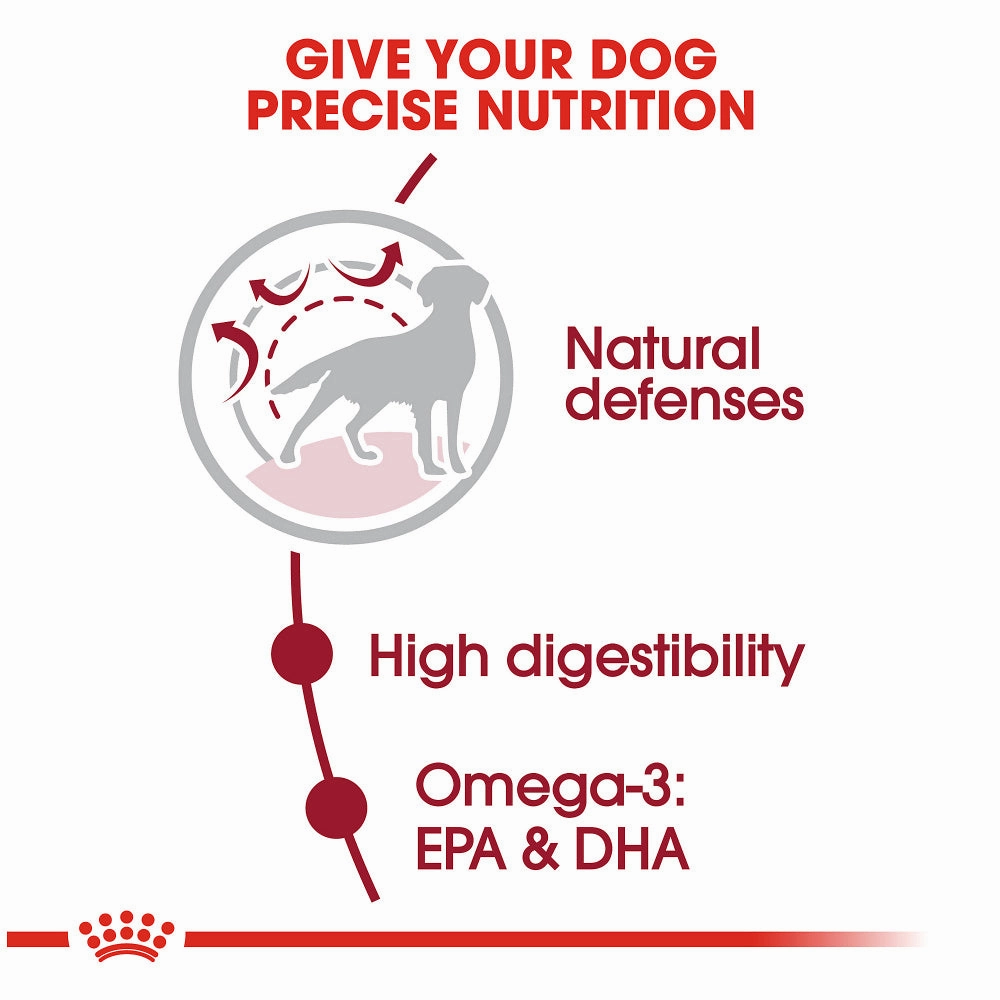 Royal Canin Size Health Nutrition Medium Adult Dry Dog Food