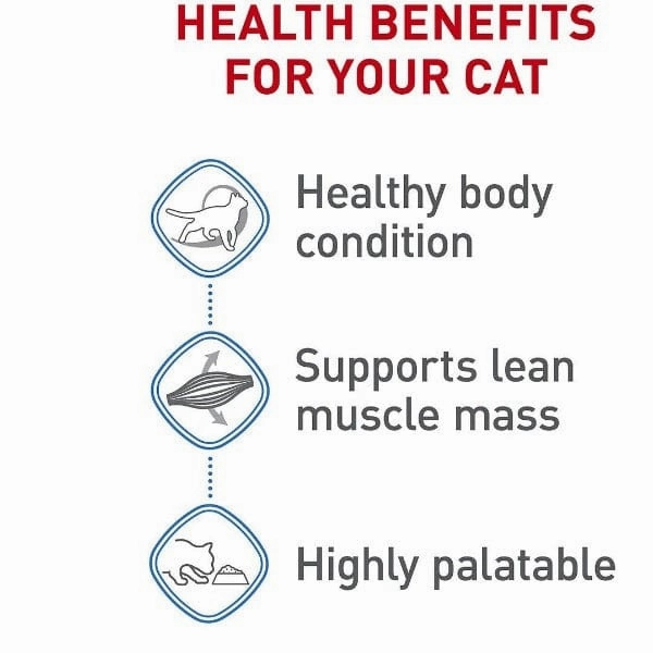 Royal Canin Weight Care Loaf in Sauce Canned Cat Food
