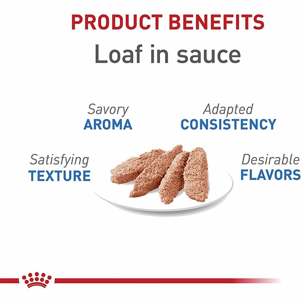 Royal Canin Weight Care Loaf in Sauce Canned Cat Food