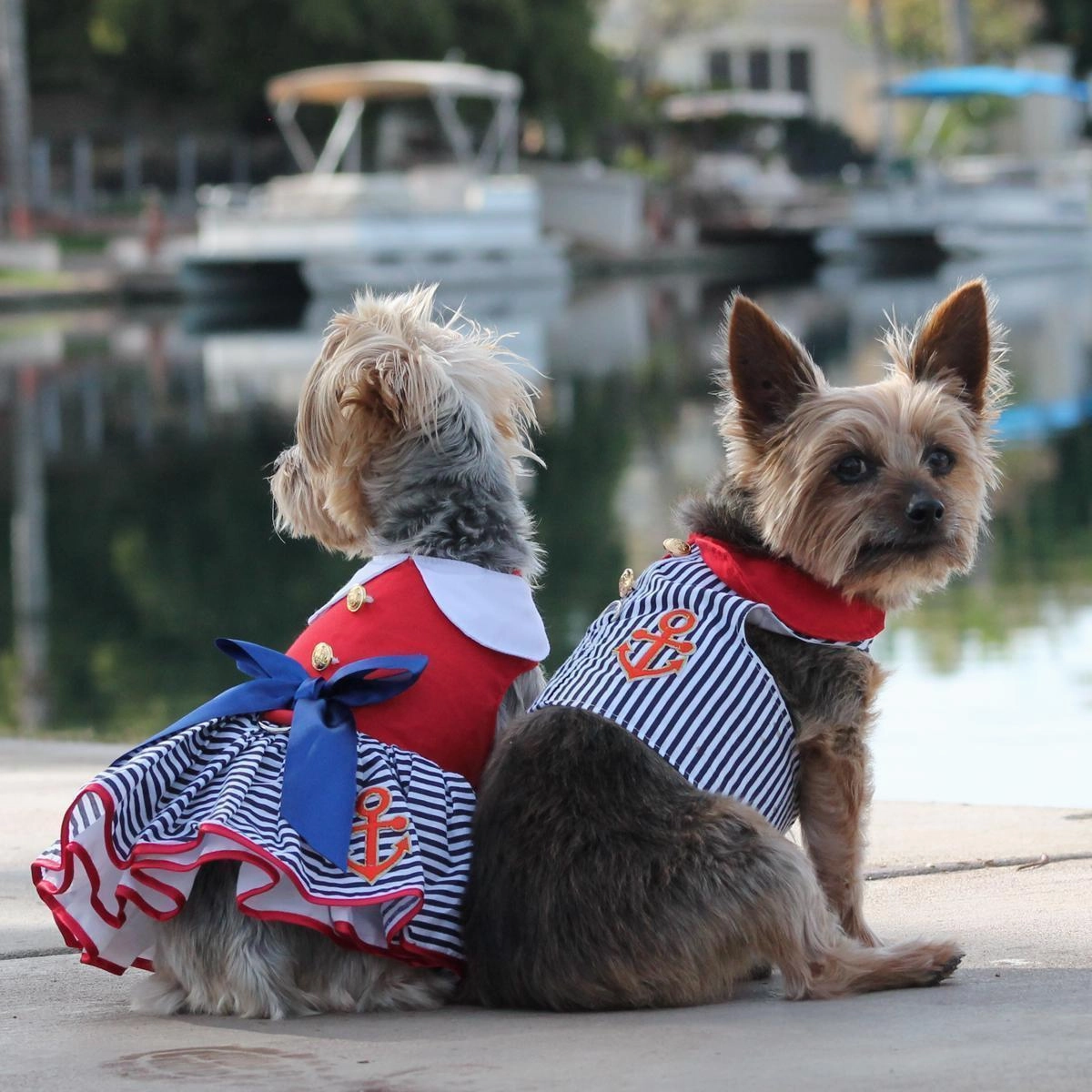 Sailor Boy Dog Harness Vest And Leash