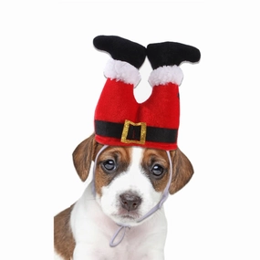 Santa Legs Dog Headpiece