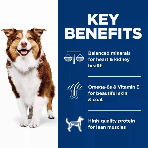 Science Diet Adult 7  Chicken Recipe Dry Dog Food