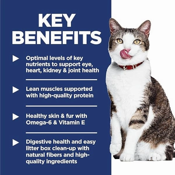 Science Diet Indoor Adult 11  Chicken Recipe Dry Cat Food
