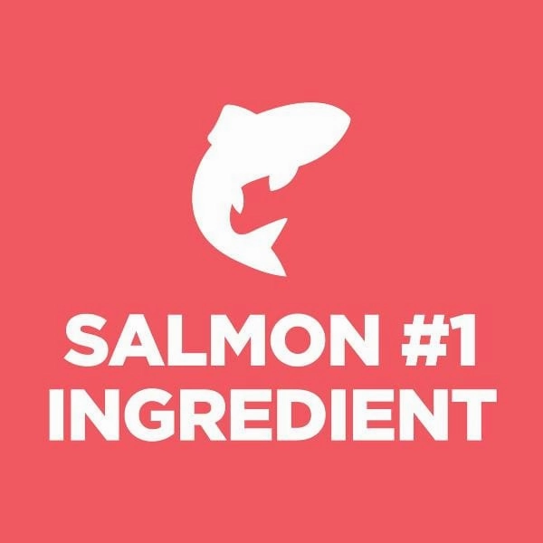 Science Diet Kitten Sensitive Stomach & Skin Salmon and Brown Rice Recipe Dry Cat Food, 3.5lb