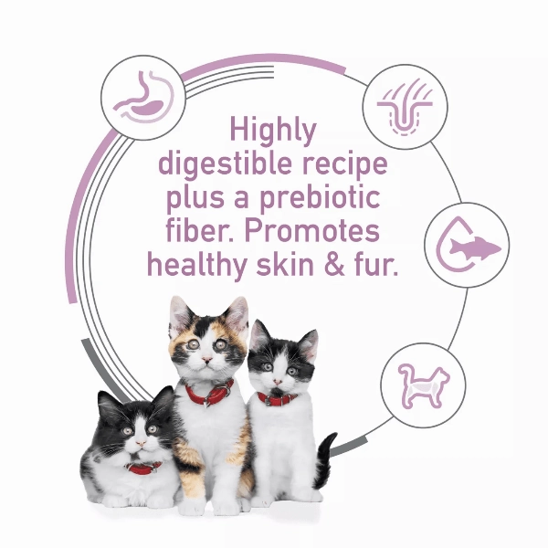 Science Diet Kitten Sensitive Stomach & Skin Salmon and Brown Rice Recipe Dry Cat Food, 3.5lb