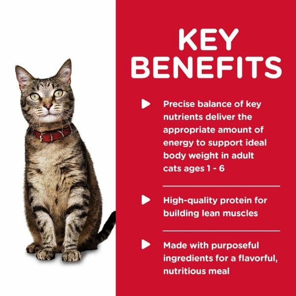 Science Diet Savory Salmon Entree Adult Canned Cat Food, 5.5oz
