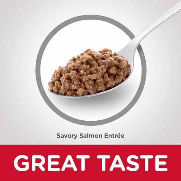 Science Diet Savory Salmon Entree Adult Canned Cat Food, 5.5oz