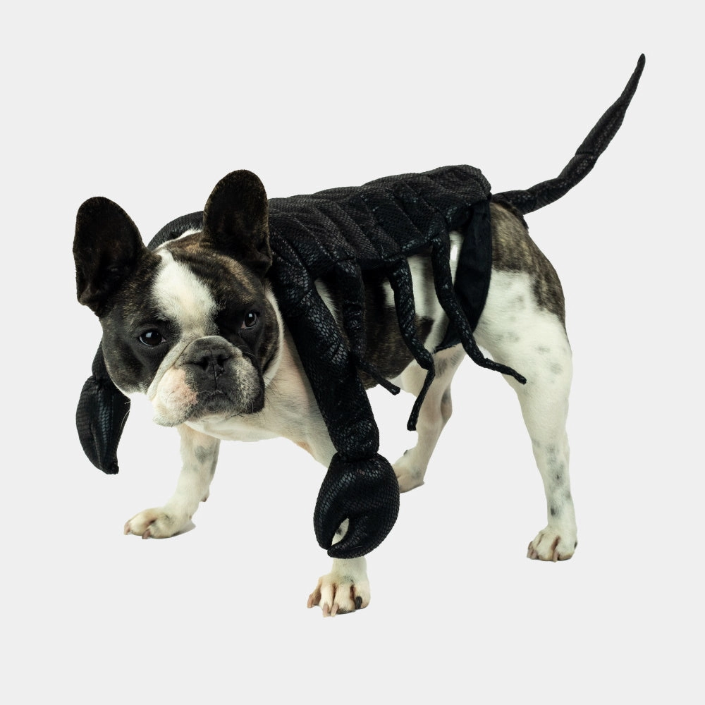 Scorpion Dog Costume