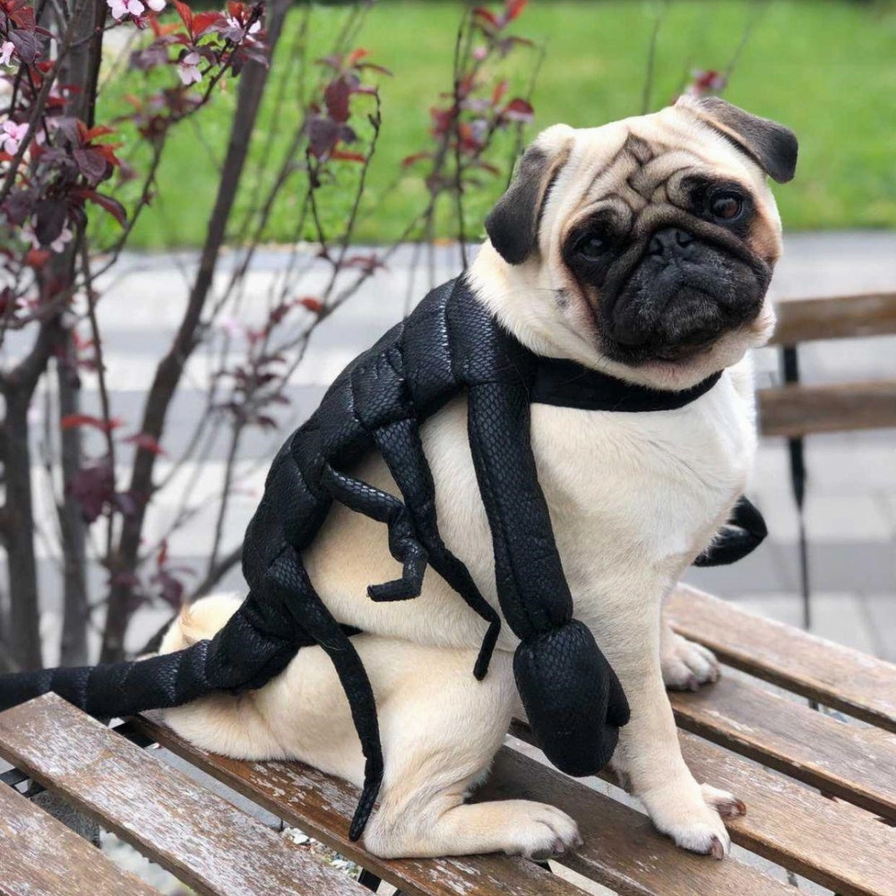 Scorpion Dog Costume