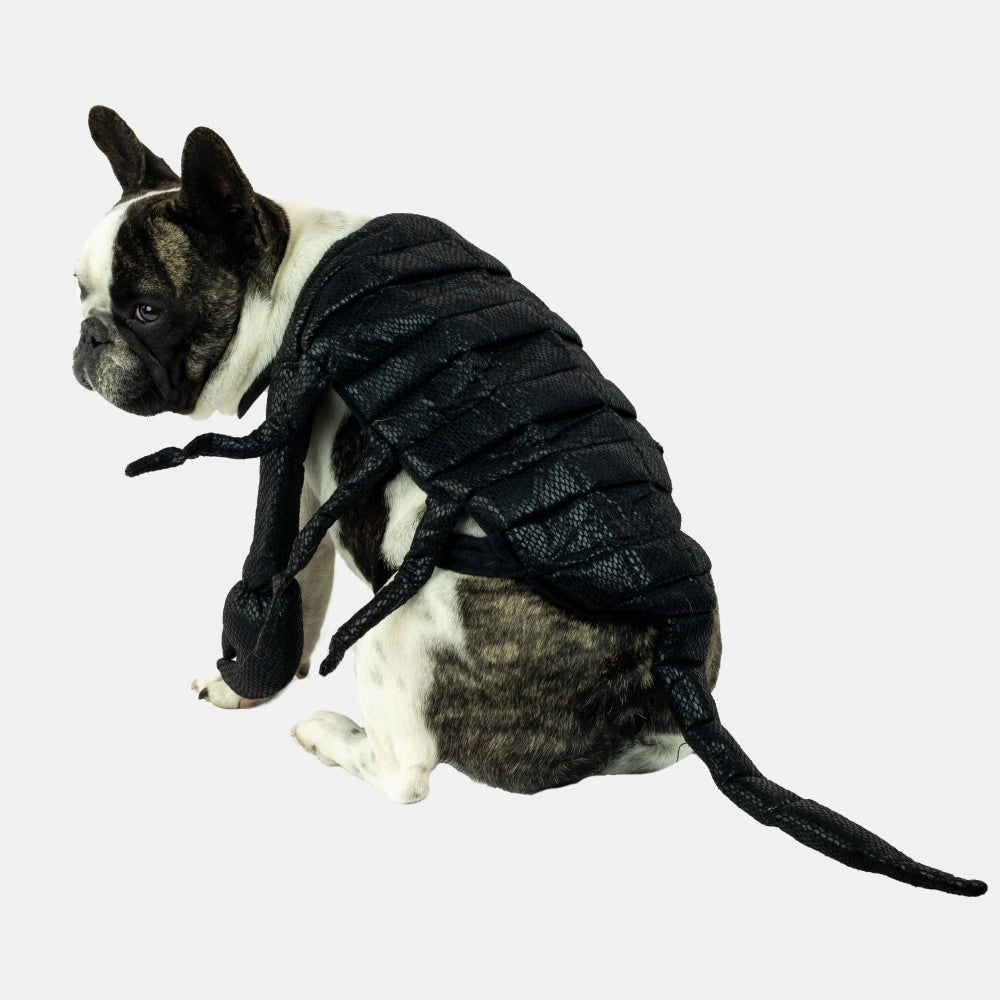 Scorpion Dog Costume