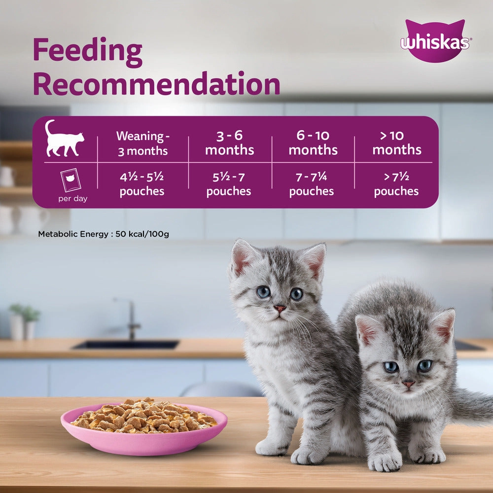 Sheba Chicken Loaf and Whiskas Tuna in Jelly Kitten Cat Wet Food Combo