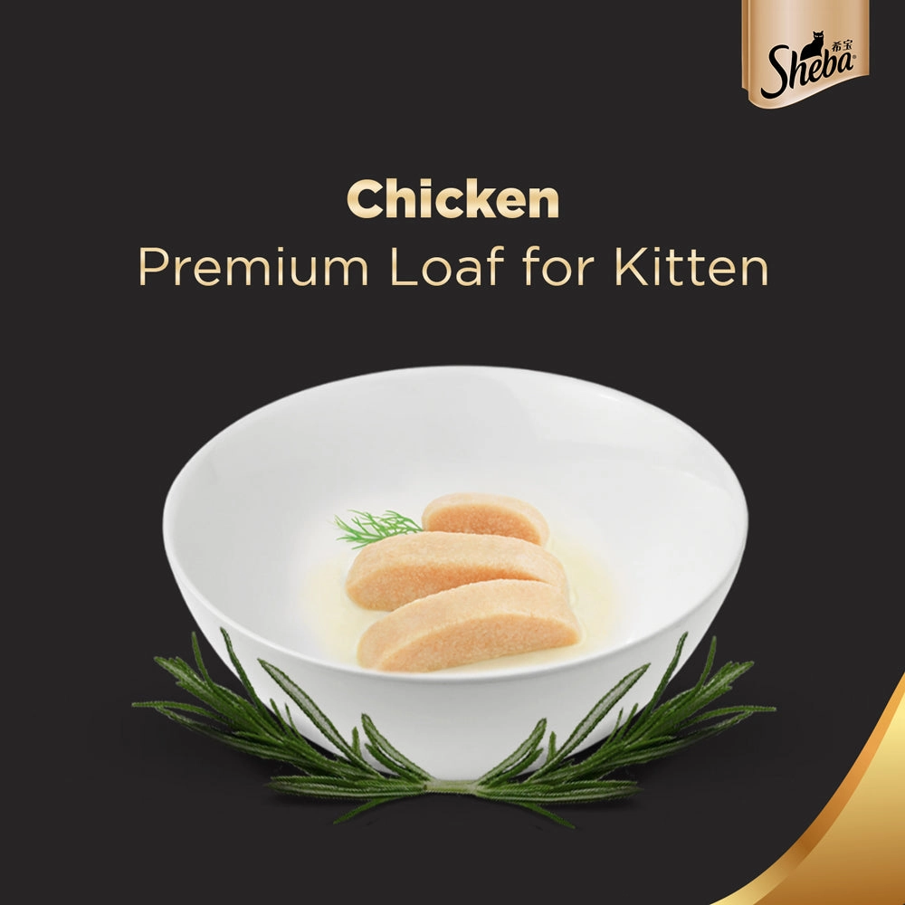Sheba Chicken Loaf and Whiskas Tuna in Jelly Kitten Cat Wet Food Combo