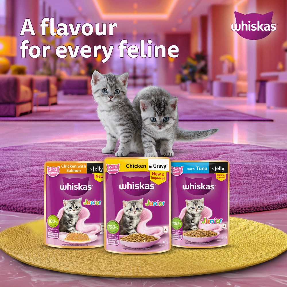 Sheba Chicken Loaf and Whiskas Tuna in Jelly Kitten Cat Wet Food Combo