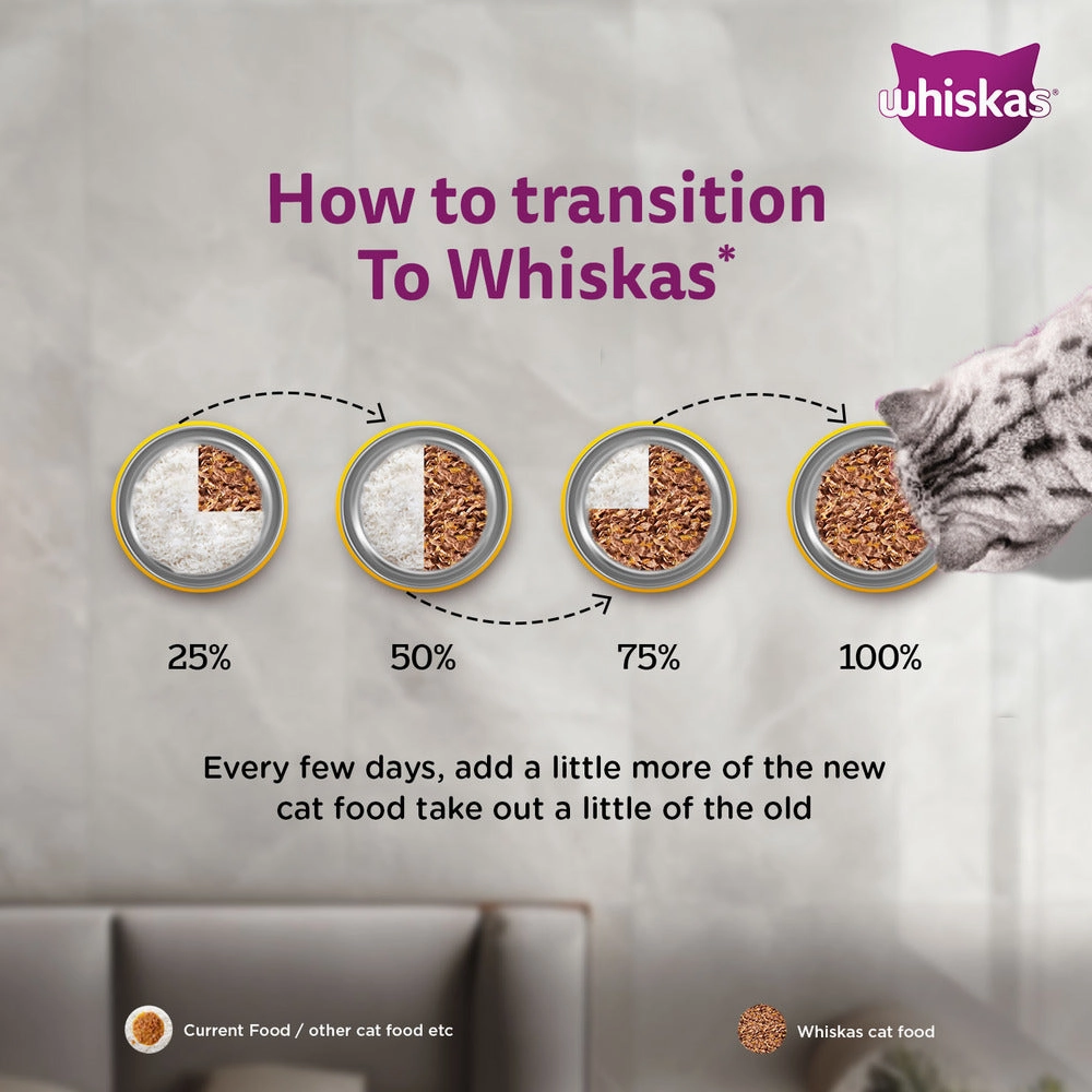 Sheba Chicken Loaf and Whiskas Tuna in Jelly Kitten Cat Wet Food Combo