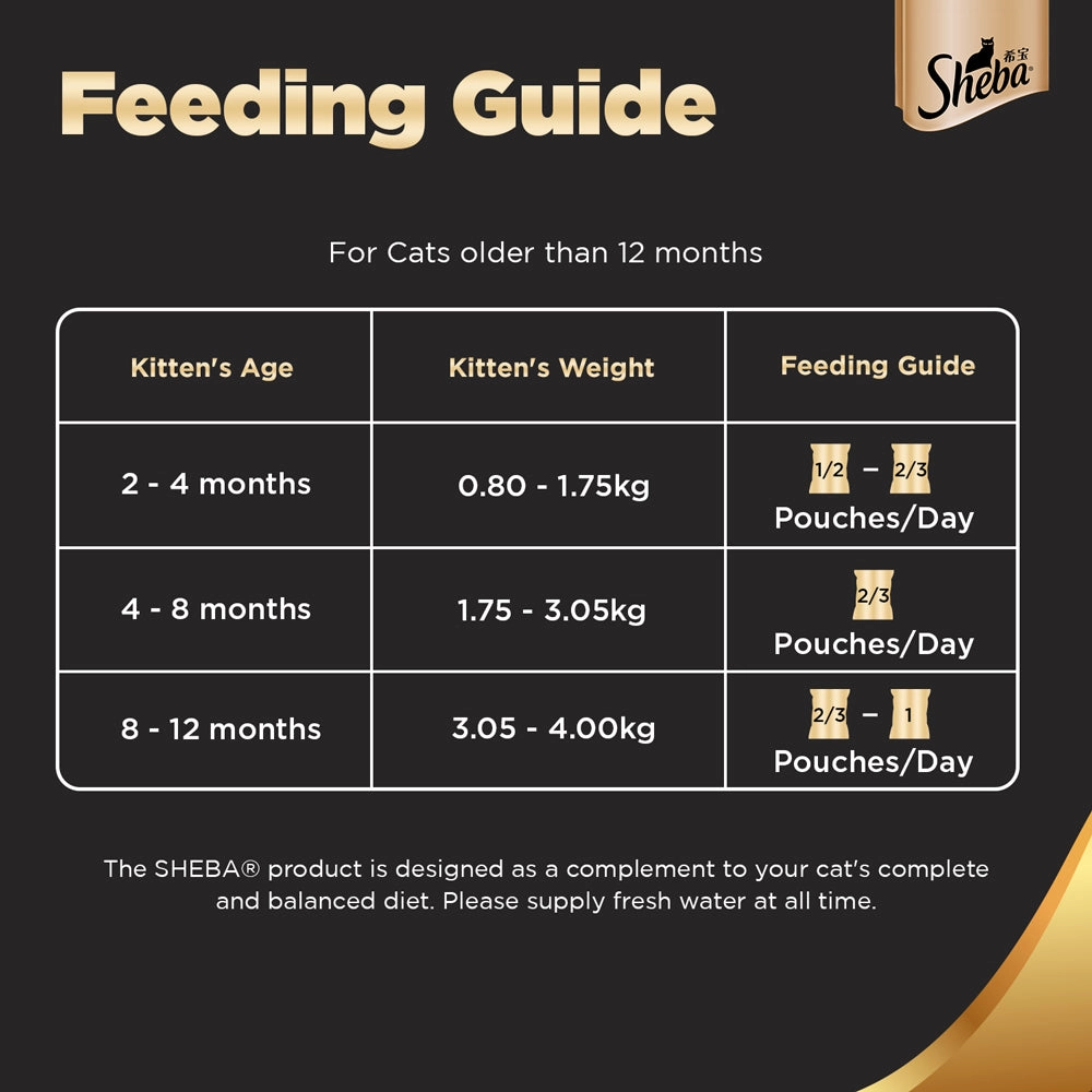 Sheba Chicken Loaf Rich Premium Kitten (2 to 12 Months) Fine Cat Wet Food