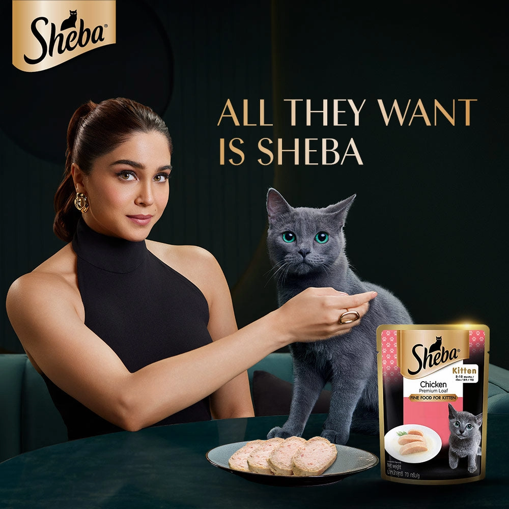 Sheba Chicken Loaf Rich Premium Kitten (2 to 12 Months) Fine Cat Wet Food