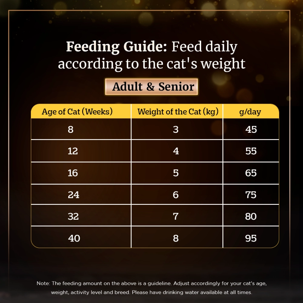 Sheba Chicken Loaf Rich Premium Kitten (2 to 12 Months) Fine Wet Food and Irresistible All Life Stage Cat Dry Food Combo