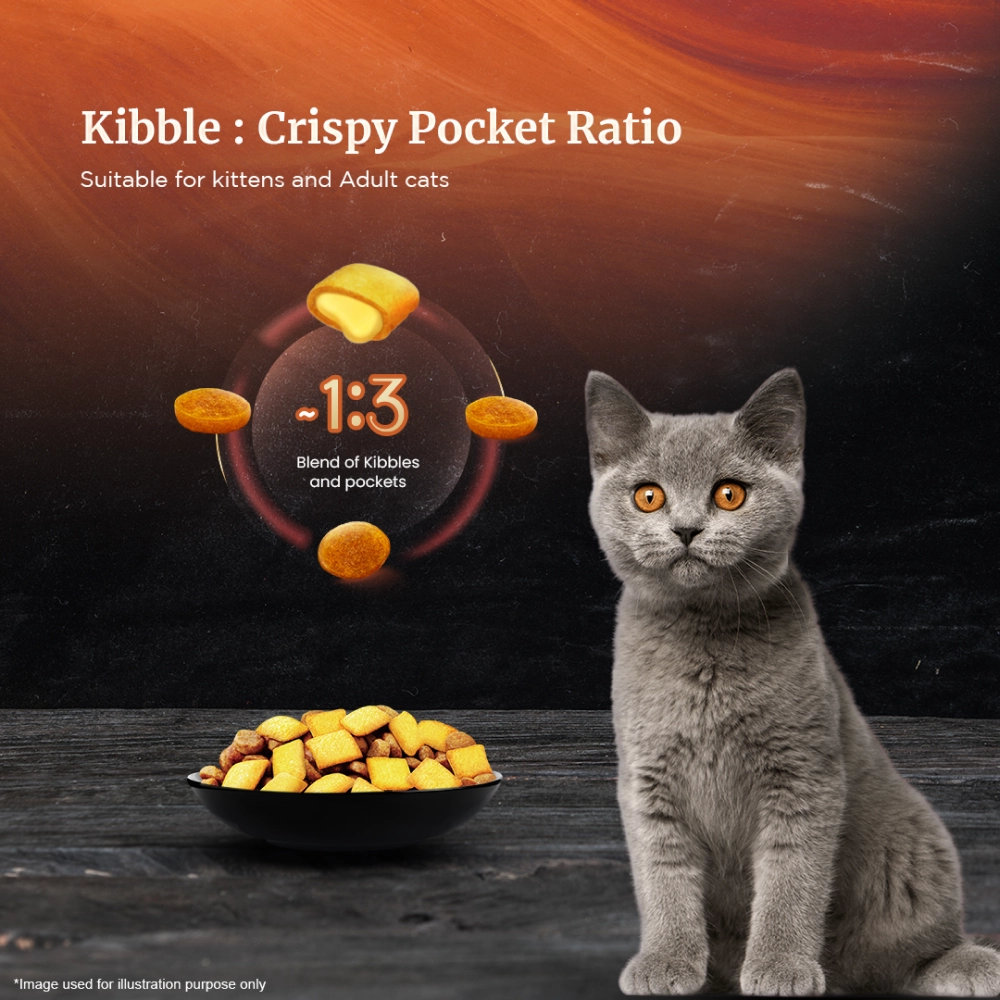 Sheba Chicken Loaf Rich Premium Kitten (2 to 12 Months) Fine Wet Food and Irresistible All Life Stage Cat Dry Food Combo