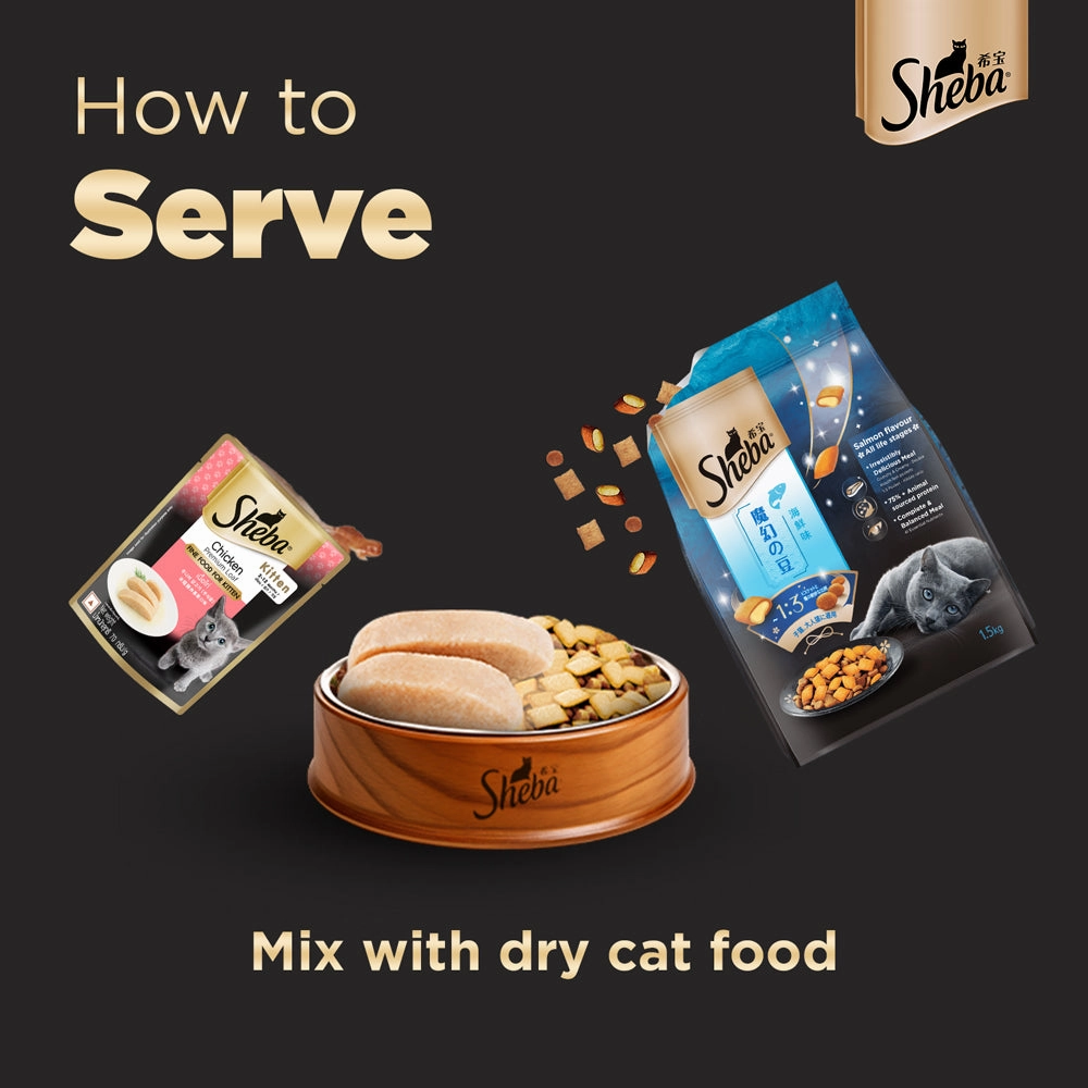 Sheba Chicken Loaf Rich Premium Kitten (2 to 12 Months) Fine Wet Food and Irresistible All Life Stage Cat Dry Food Combo