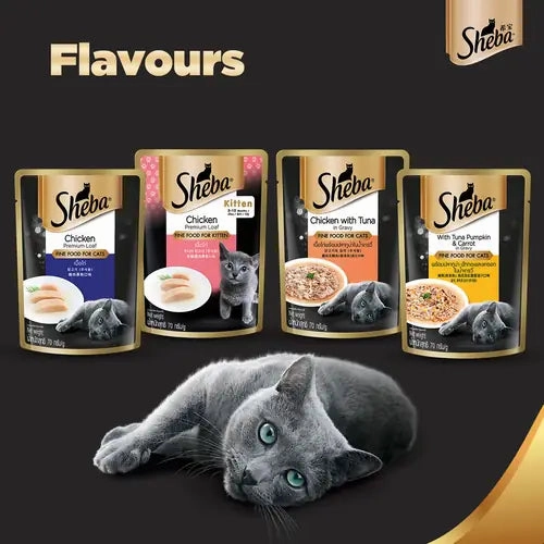Sheba Chicken Tuna Gravy Adult Wet Food, Scoopy Lavender Natural Litter, First Meow Soft Strip Treat Cats Combo