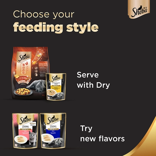 Sheba Maguro & Bream Fish and Tuna Pumpkin & Carrot In Gravy Rich Premium Cat Wet Food Combo