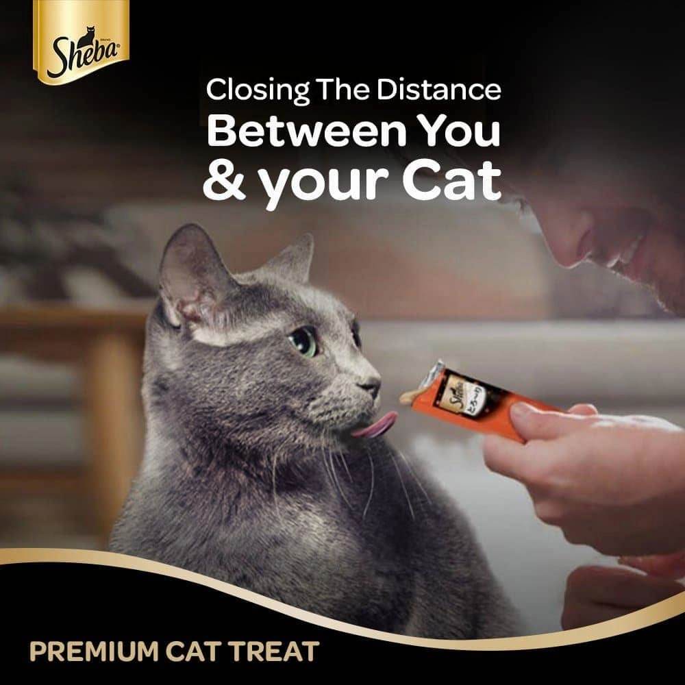 Sheba Tuna Flavor and Tuna & Prawn Maguro and Sheba Chicken & Chicken Whitefish Sasami Melty Premium Treats for Cats Combo