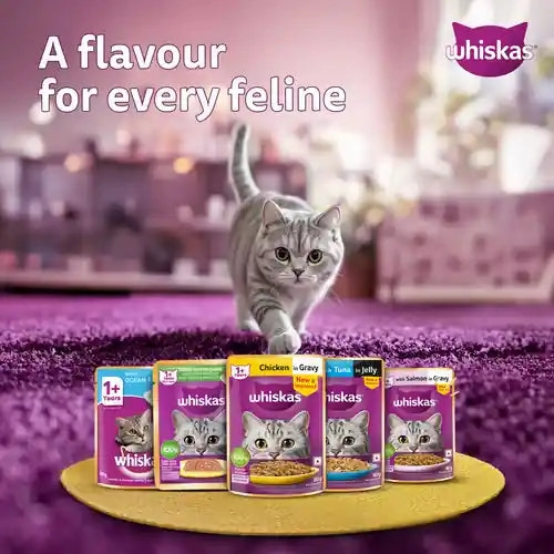 Sheba Tuna Pumpkin & Carrot In Gravy and Whiskas Chicken in Gravy Cat Wet Food Combo