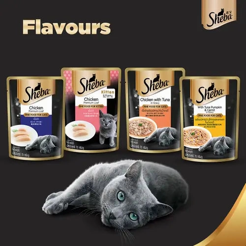 Sheba Tuna Pumpkin & Carrot In Gravy and Whiskas Chicken in Gravy Cat Wet Food Combo