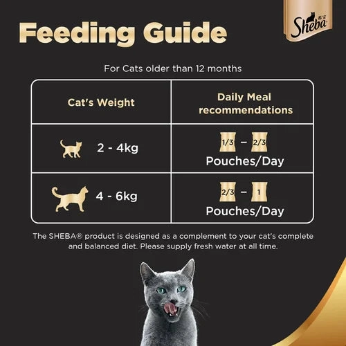 Sheba Tuna Pumpkin & Carrot In Gravy and Whiskas Chicken in Gravy Cat Wet Food Combo