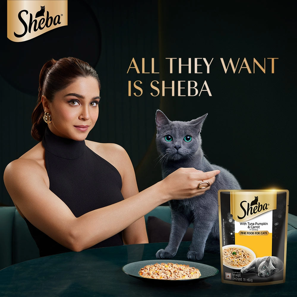 Sheba Tuna Pumpkin & Carrot In Gravy and Whiskas Chicken in Gravy Cat Wet Food Combo