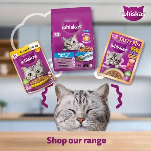 Sheba Tuna Pumpkin & Carrot In Gravy and Whiskas Tuna in Jelly Cat Wet Food Combo