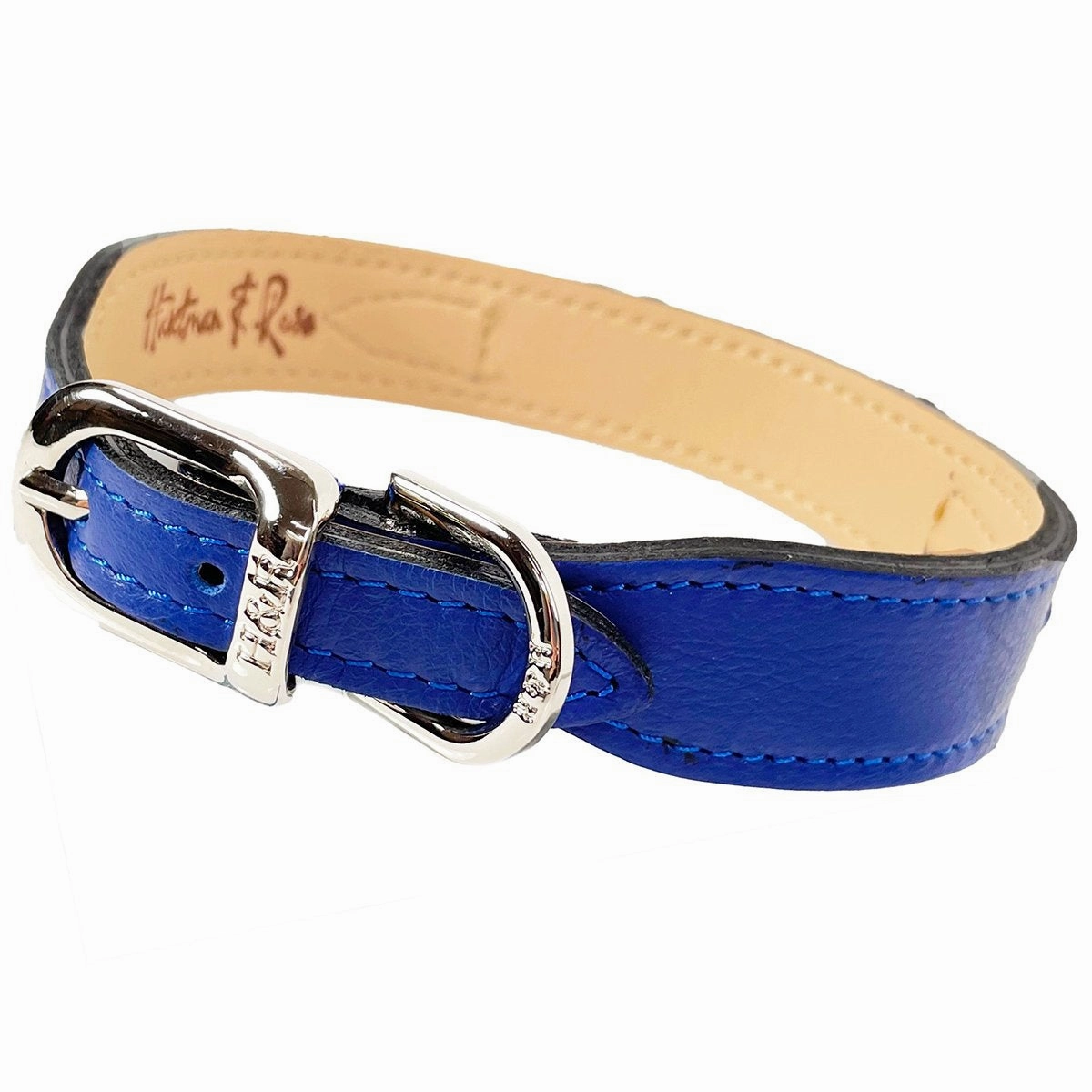 Signature Collection Dog Collar Cobalt Blue/Nickel