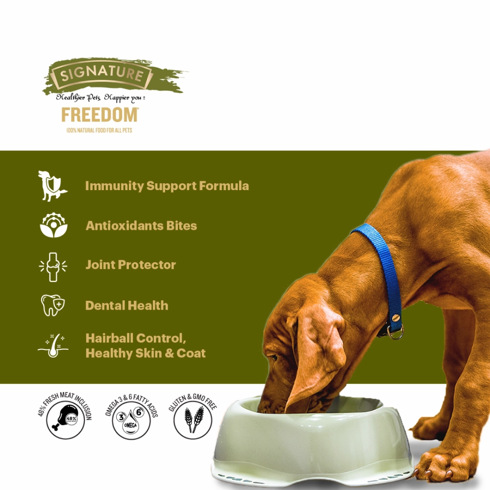 Signature Freedom Chicken and Rice and Grain Zero Real Chicken, Egg and Vegetables Adult Dog Dry Food Combo