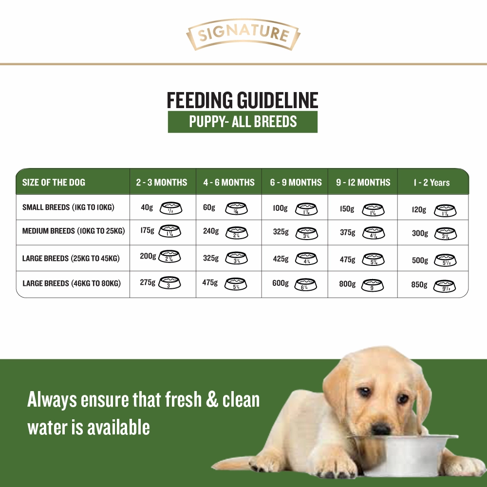 Signature Freedom Chicken and Rice Recipe and Grain Zero Real Chicken, Egg and Vegetables Puppy Dog Dry Food Combo