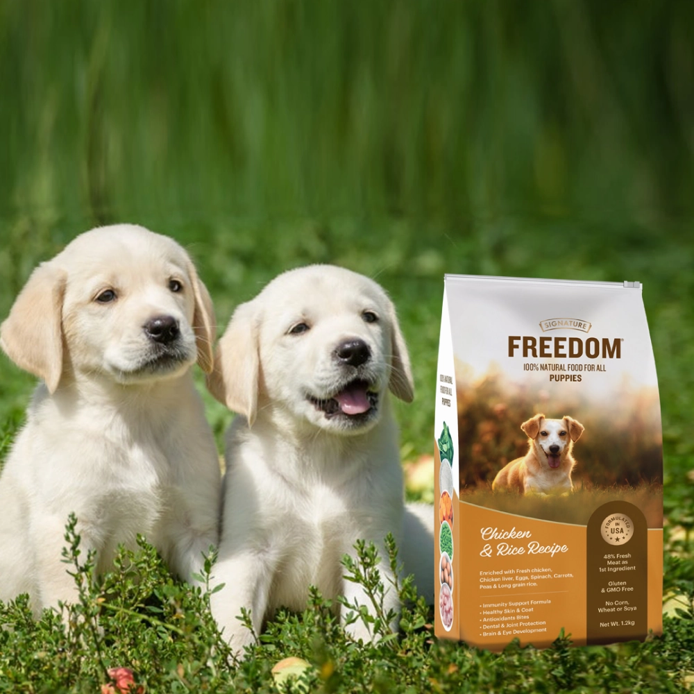 Signature Freedom Chicken and Rice Recipe and Grain Zero Real Chicken, Egg and Vegetables Puppy Dog Dry Food Combo