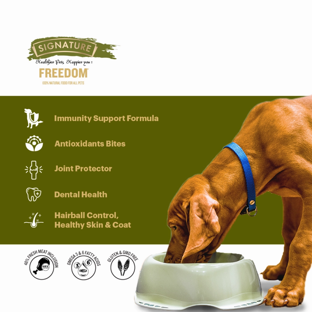 Signature Freedom Chicken and Rice Recipe and Grain Zero Real Chicken, Egg and Vegetables Puppy Dog Dry Food Combo