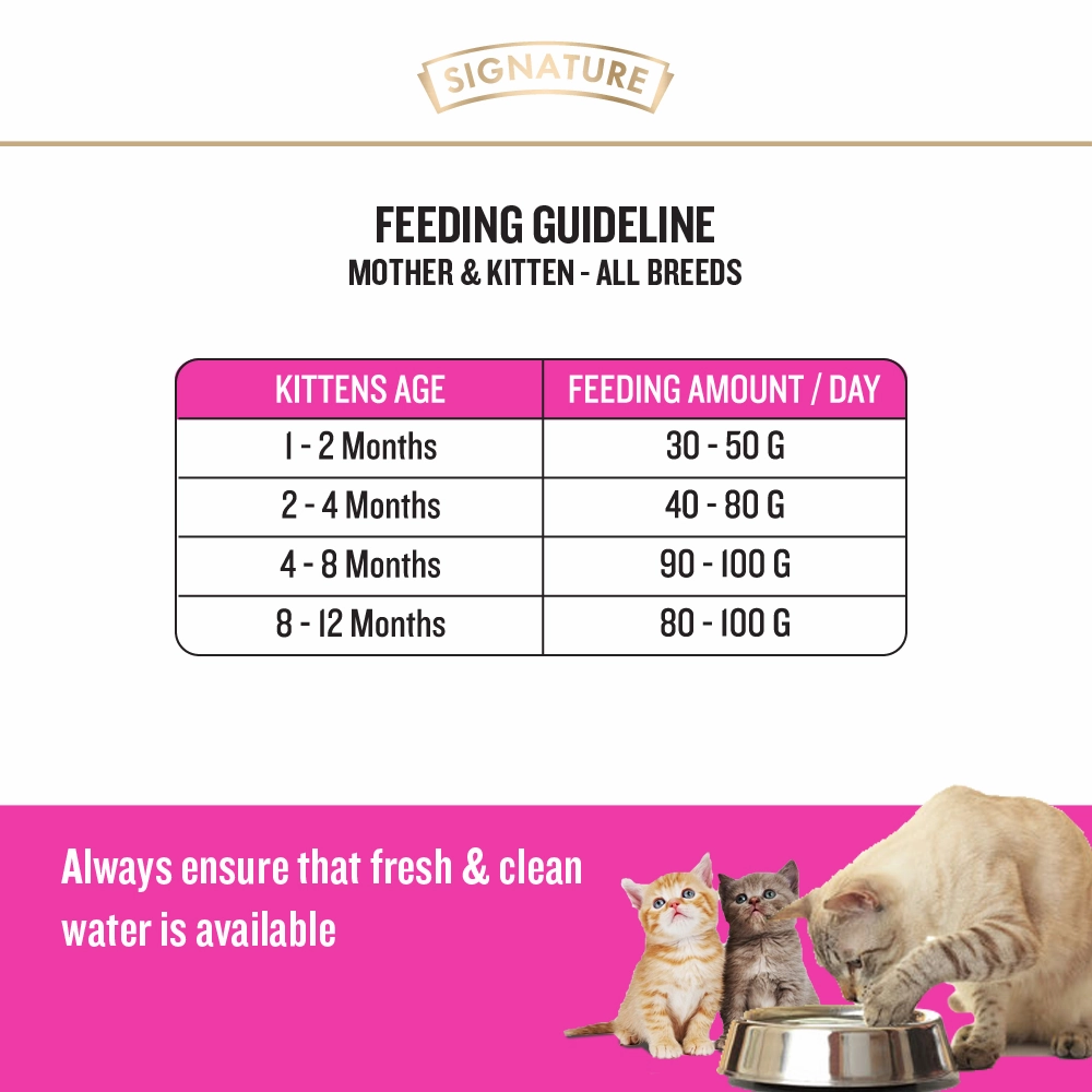 Signature Grain Zero Ocean Fish Sardine Mackerel Kitten Dry Food, Me O Creamy Chicken Liver Cats Treat Combo