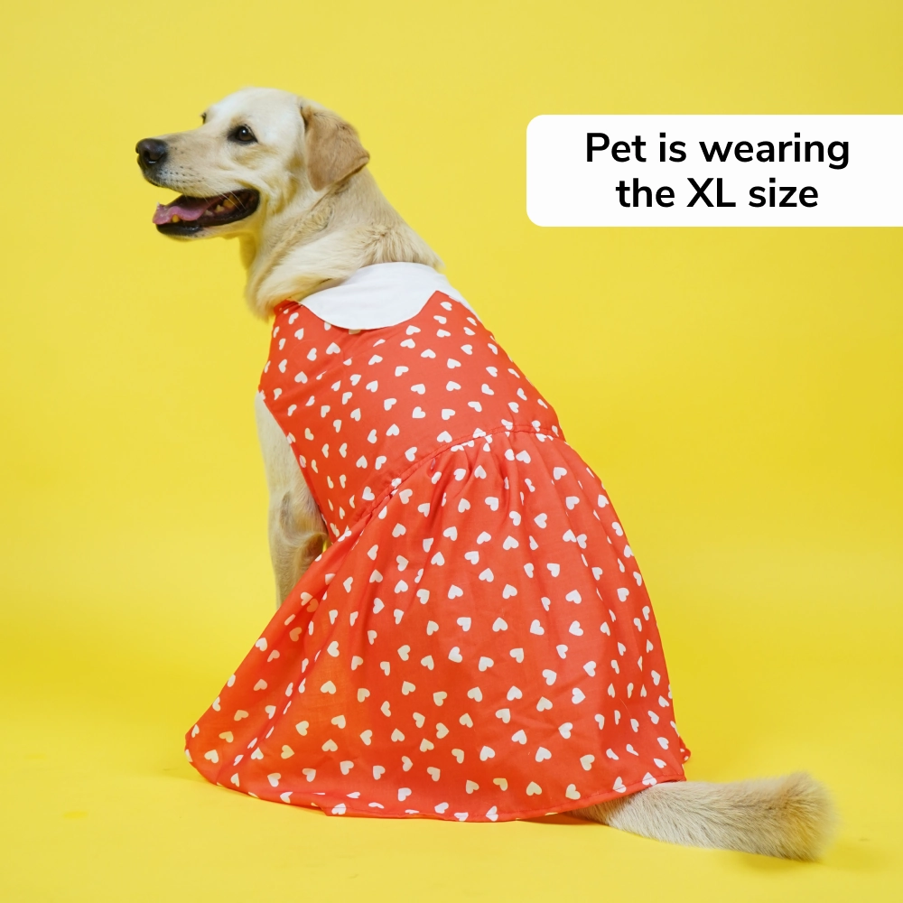 Skatrs All Hearts Printed Dress for Dogs and Cats (Red)