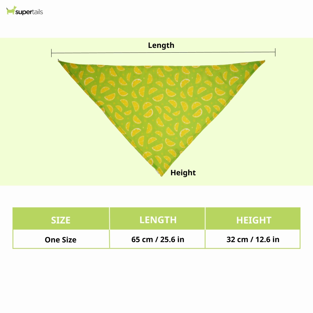Skatrs Bandana for Dogs Perfect for Trendy Pets (Green )