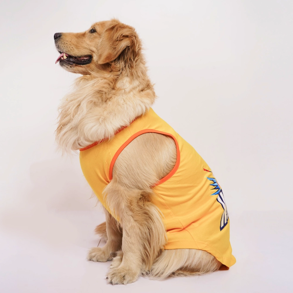 Skatrs Chepawk Superkings Cricket Jersey for Dogs and Cats (Yellow)