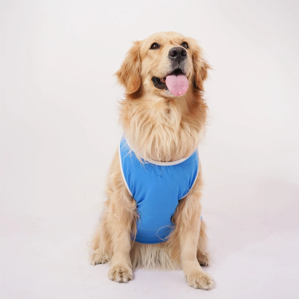 Skatrs Dilli Cuddlers Cricket Jersey for Dogs and Cats (Blue)