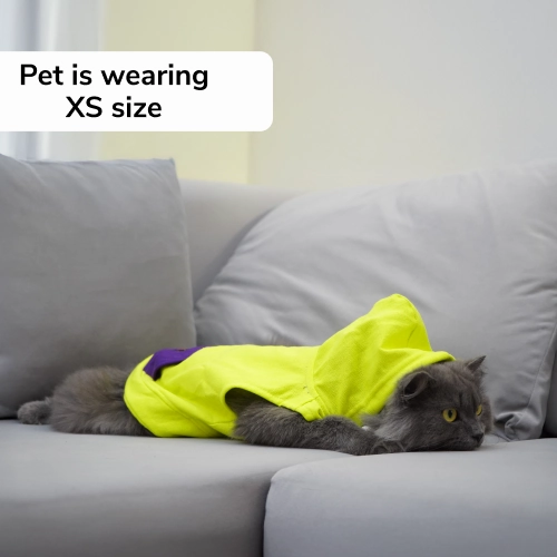 Skatrs Galaxy Breezy Vest with Pockets for Dogs and Cats (Green)