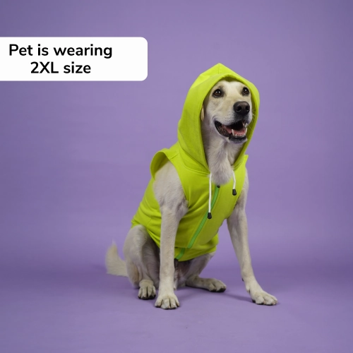 Skatrs Galaxy Breezy Vest with Pockets for Dogs and Cats (Green)