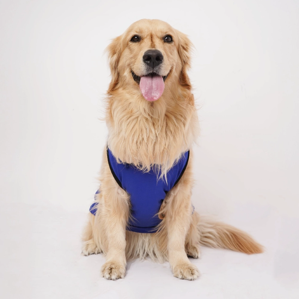 Skatrs Mastikhor Indians Cricket Jersey for Dogs and Cats (Blue)